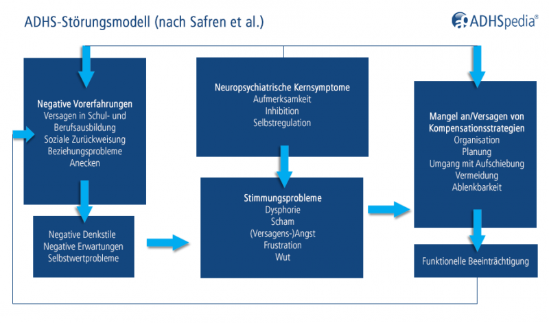 Datei:Modell nach Safren.png