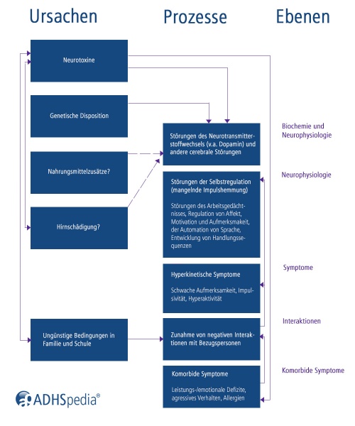 Datei:Doepfner ADHS Modell.jpg