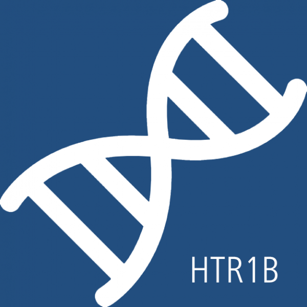 Datei:HTR1B.png
